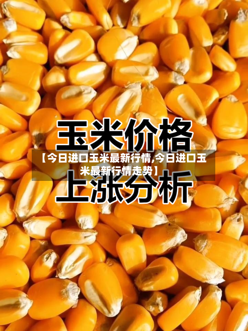 【今日进口玉米最新行情,今日进口玉米最新行情走势】