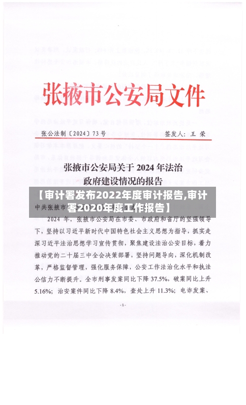 【审计署发布2022年度审计报告,审计署2020年度工作报告】-第3张图片