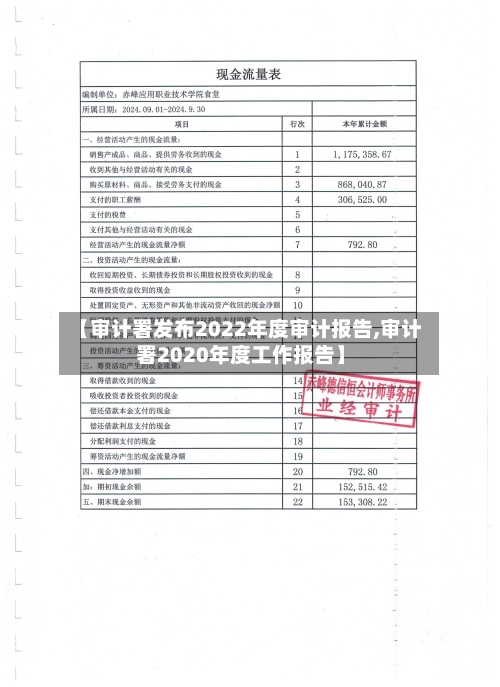 【审计署发布2022年度审计报告,审计署2020年度工作报告】-第2张图片