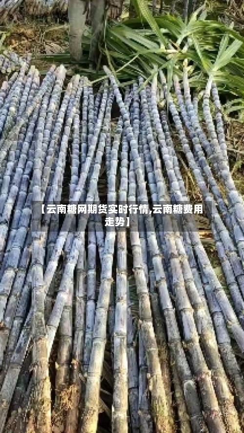 【云南糖网期货实时行情,云南糖费用走势】-第3张图片
