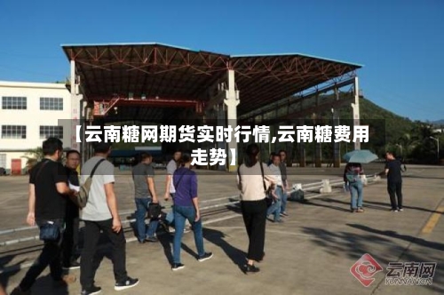 【云南糖网期货实时行情,云南糖费用走势】