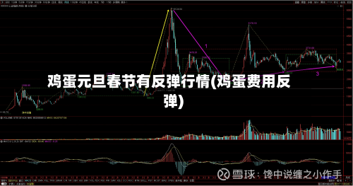 鸡蛋元旦春节有反弹行情(鸡蛋费用反弹)-第2张图片