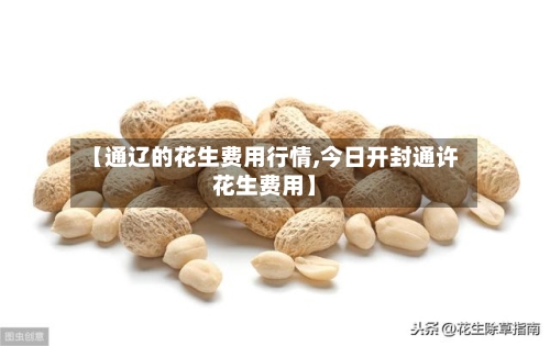 【通辽的花生费用行情,今日开封通许花生费用】