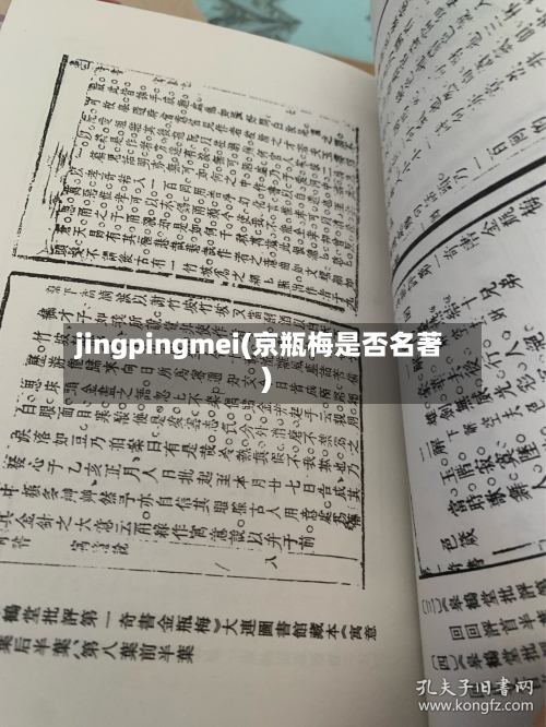 jingpingmei(京瓶梅是否名著)