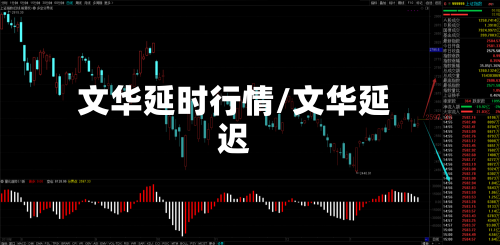 文华延时行情/文华延迟