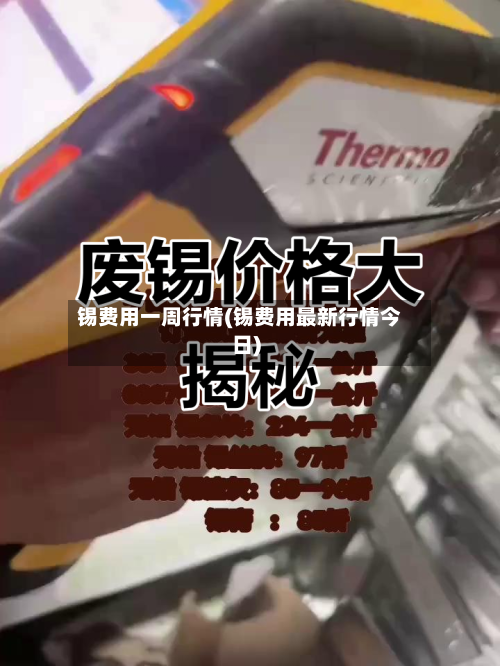 锡费用一周行情(锡费用最新行情今日)-第3张图片