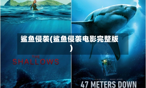 鲨鱼侵袭(鲨鱼侵袭电影完整版)