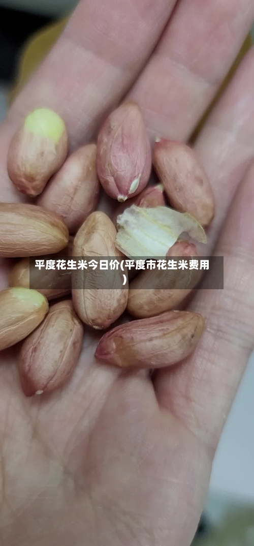 平度花生米今日价(平度市花生米费用)