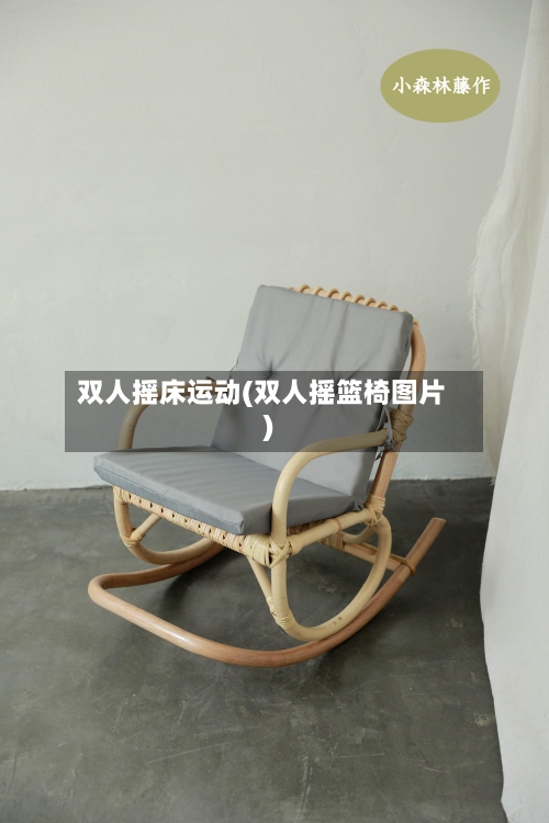 双人摇床运动(双人摇篮椅图片)