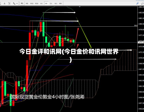 今日金评和讯网(今日金价和讯网世界)