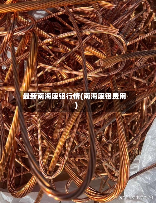 最新南海废铝行情(南海废铝费用)-第3张图片