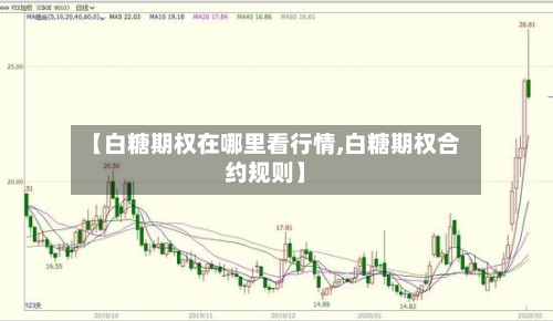 【白糖期权在哪里看行情,白糖期权合约规则】