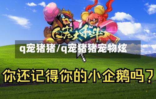 q宠猪猪/q宠猪猪宠物炫-第2张图片