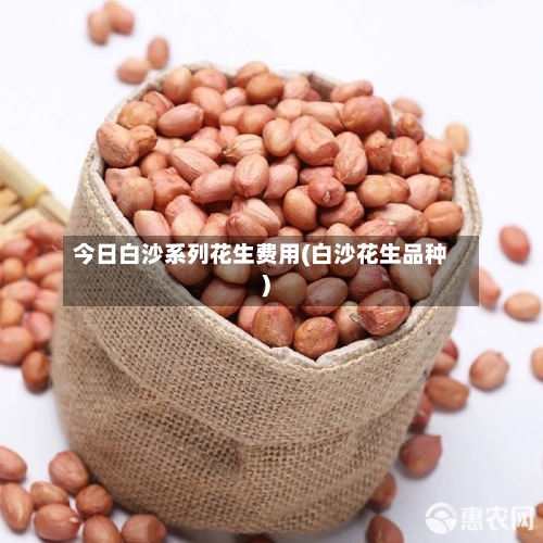 今日白沙系列花生费用(白沙花生品种)