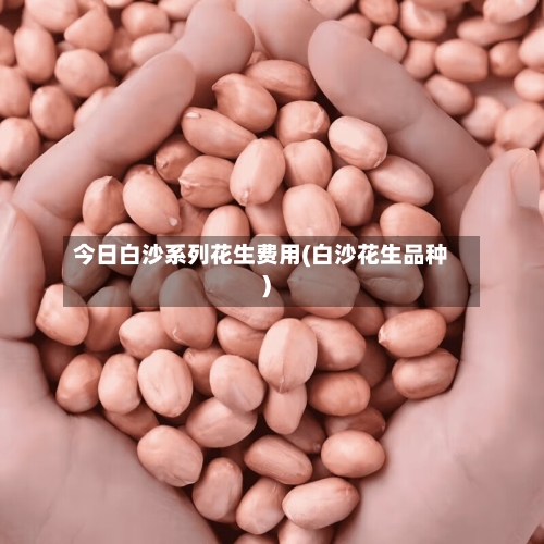 今日白沙系列花生费用(白沙花生品种)-第2张图片