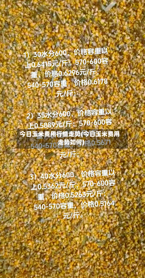 今日玉米费用行情走势(今日玉米费用走势如何)