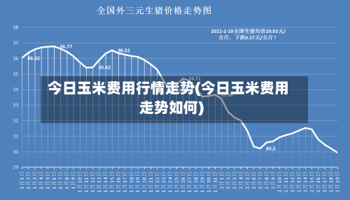 今日玉米费用行情走势(今日玉米费用走势如何)-第2张图片