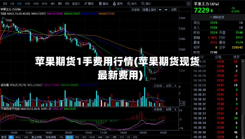 苹果期货1手费用行情(苹果期货现货最新费用)