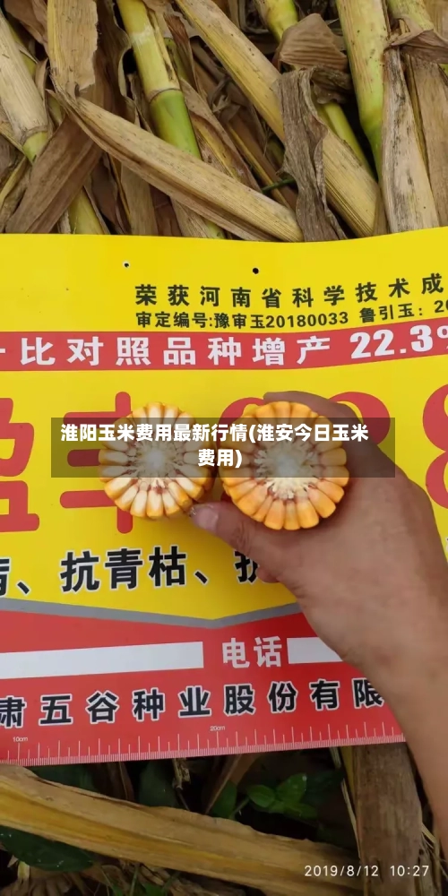 淮阳玉米费用最新行情(淮安今日玉米费用)