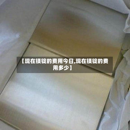 【现在镁锭的费用今日,现在镁锭的费用多少】-第3张图片