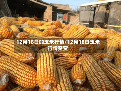 12月18日的玉米行情/12月18日玉米行情突变-第2张图片