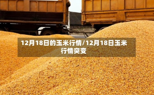 12月18日的玉米行情/12月18日玉米行情突变
