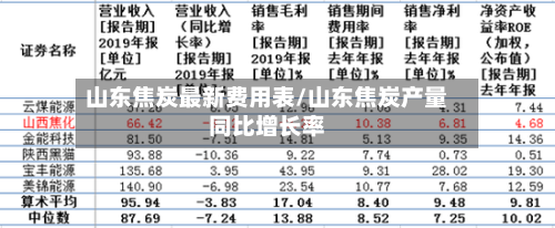 山东焦炭最新费用表/山东焦炭产量同比增长率-第2张图片