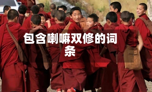 包含喇嘛双修的词条-第2张图片