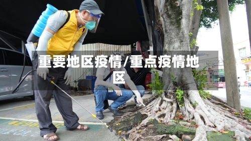 重要地区疫情/重点疫情地区-第2张图片