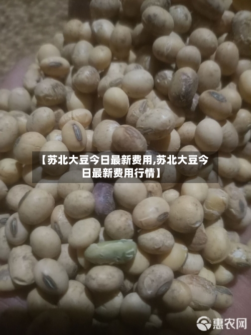 【苏北大豆今日最新费用,苏北大豆今日最新费用行情】