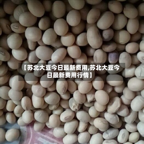 【苏北大豆今日最新费用,苏北大豆今日最新费用行情】-第2张图片