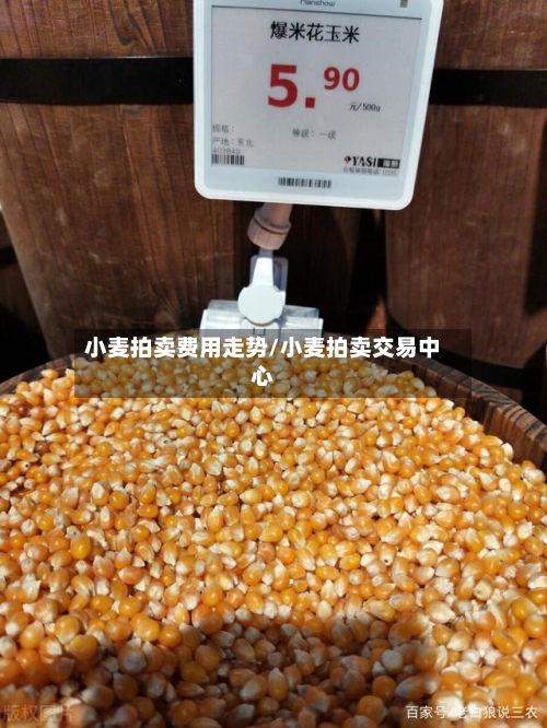 小麦拍卖费用走势/小麦拍卖交易中心-第3张图片