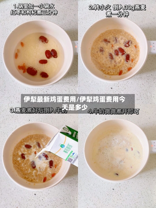 伊犁最新鸡蛋费用/伊犁鸡蛋费用今天是多少
