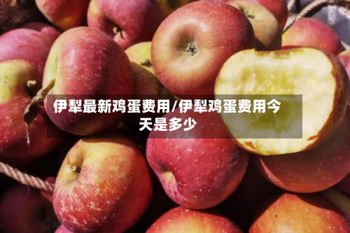 伊犁最新鸡蛋费用/伊犁鸡蛋费用今天是多少-第3张图片