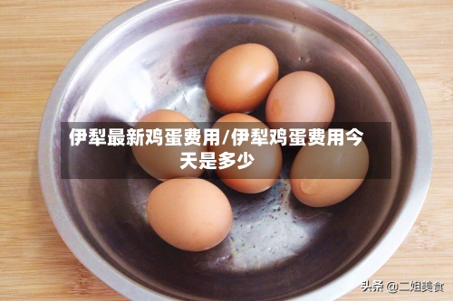 伊犁最新鸡蛋费用/伊犁鸡蛋费用今天是多少-第2张图片