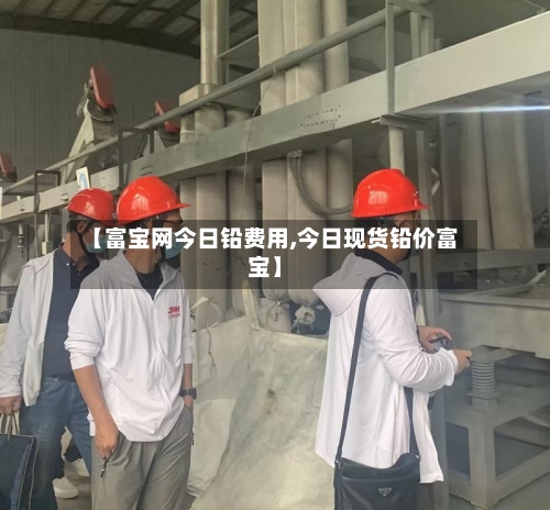 【富宝网今日铅费用,今日现货铅价富宝】-第2张图片
