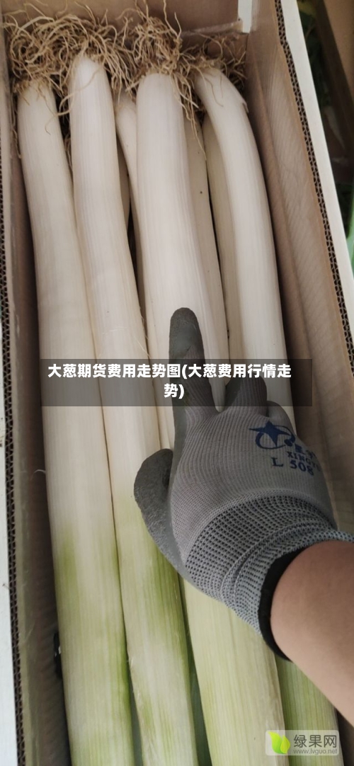 大葱期货费用走势图(大葱费用行情走势)