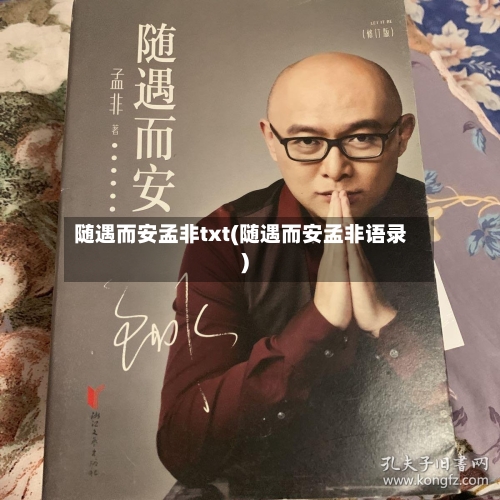 随遇而安孟非txt(随遇而安孟非语录)