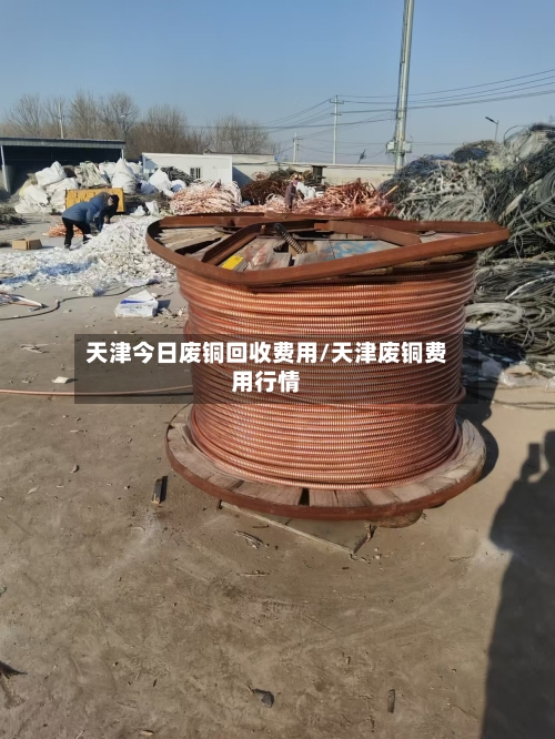 天津今日废铜回收费用/天津废铜费用行情