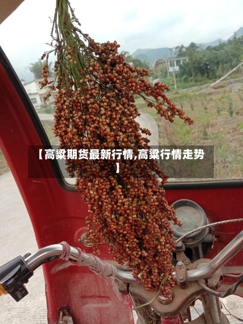 【高粱期货最新行情,高粱行情走势】