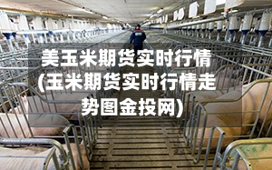 美玉米期货实时行情(玉米期货实时行情走势图金投网)