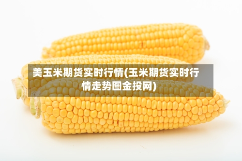 美玉米期货实时行情(玉米期货实时行情走势图金投网)-第2张图片