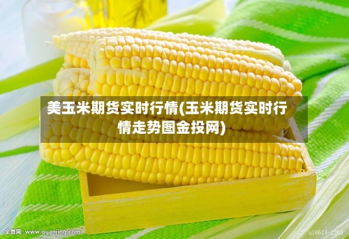 美玉米期货实时行情(玉米期货实时行情走势图金投网)-第3张图片