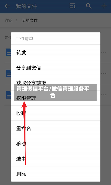 管理微信平台/微信管理服务平台-第3张图片