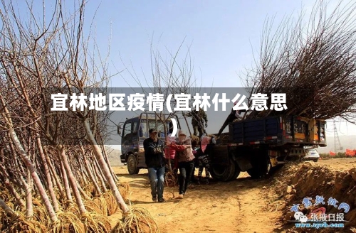 宜林地区疫情(宜林什么意思)-第2张图片