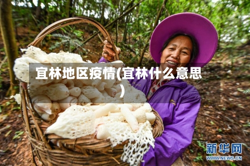 宜林地区疫情(宜林什么意思)