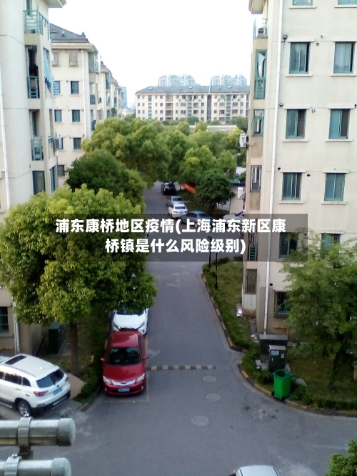 浦东康桥地区疫情(上海浦东新区康桥镇是什么风险级别)