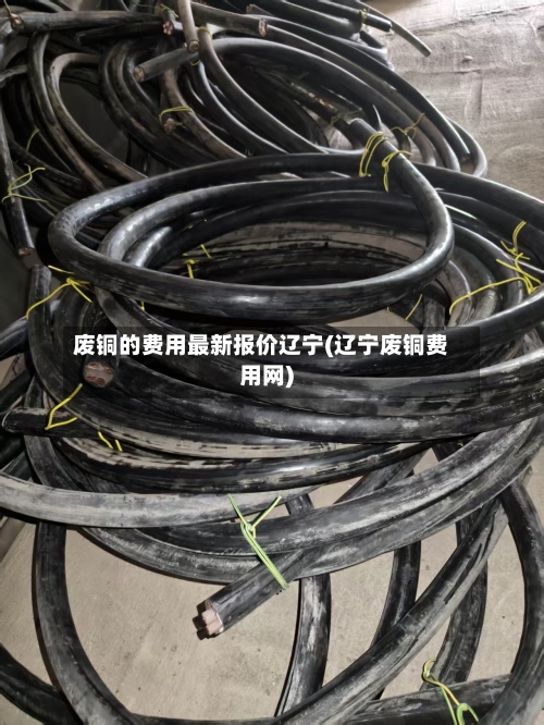 废铜的费用最新报价辽宁(辽宁废铜费用网)-第3张图片