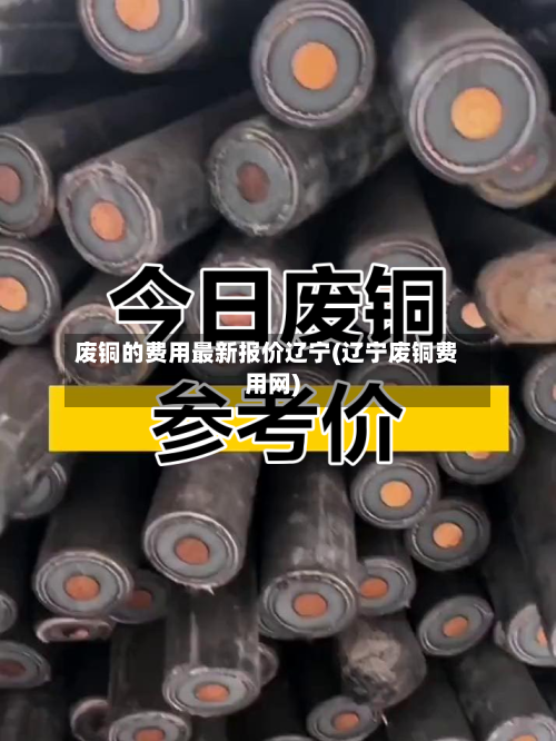 废铜的费用最新报价辽宁(辽宁废铜费用网)-第2张图片