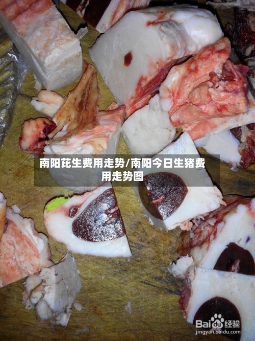 南阳芘生费用走势/南阳今日生猪费用走势图-第3张图片